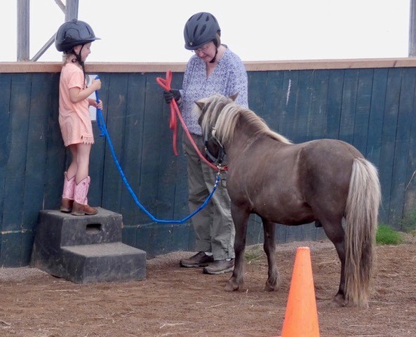 How Ponies and Pals is Supporting the Long-Term Growth of Driving in Canada